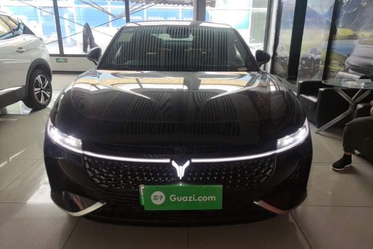 Used VOYAH PASSION 2024 PHEV Four-Wheel Drive Ultra-Long Range Flagship Model Front