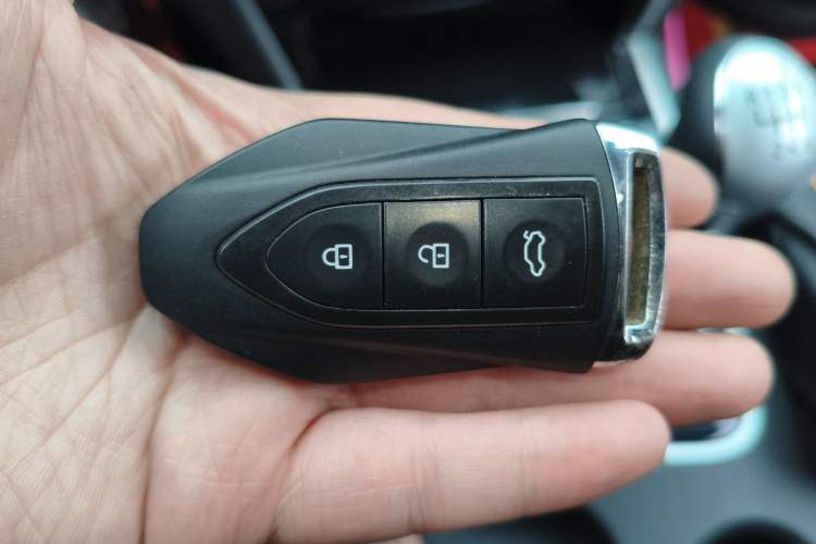 Used Leopaard CS10 2017 2.0T Manual Excellence Edition
