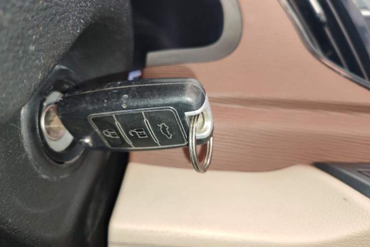 Used FORTHING Lingzhi 2020 M5L 1.6L Utility Model
