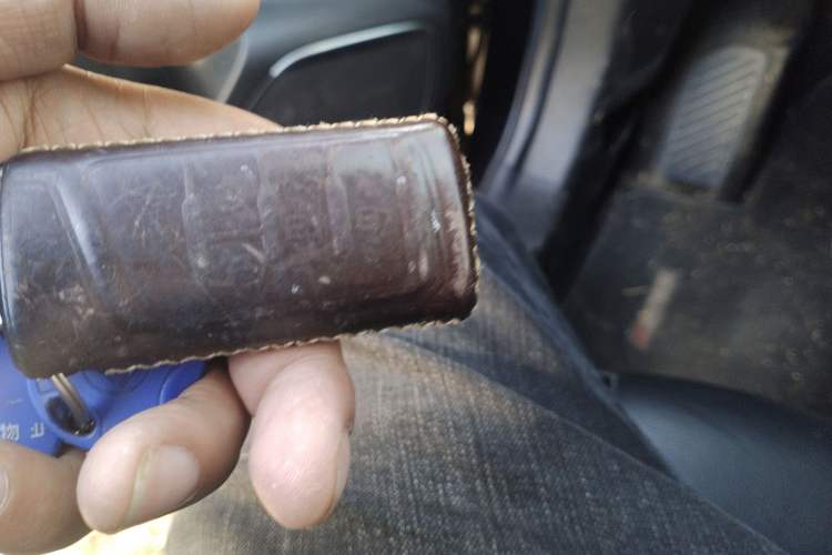 Used GAC Trumpchi GS8 2017 320T Two-Wheel Drive Luxury Smart Connectivity Version (7 Seats)
