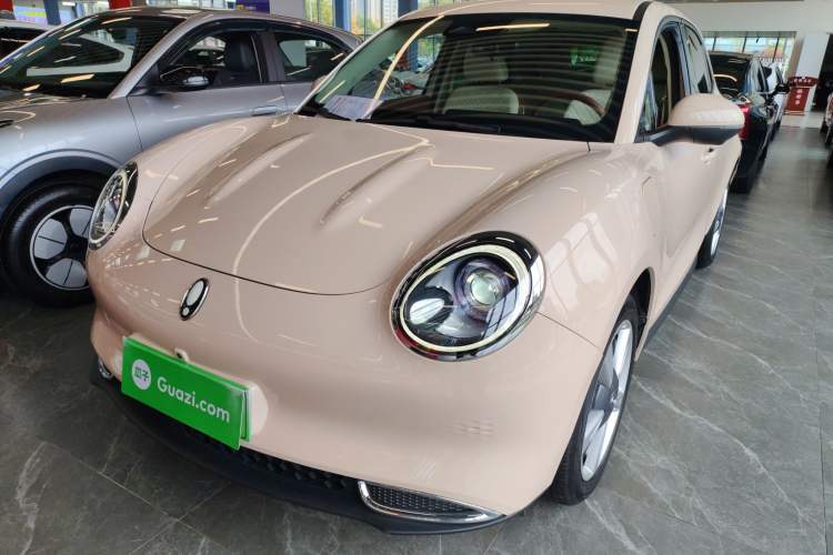 Used ORA Good Cat 2023 401 km Standard Range Luxury Version Ternary Lithium