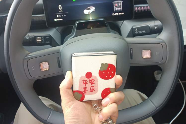 Used Zeekr X 2024 Five-Seater Four-Wheel Drive
