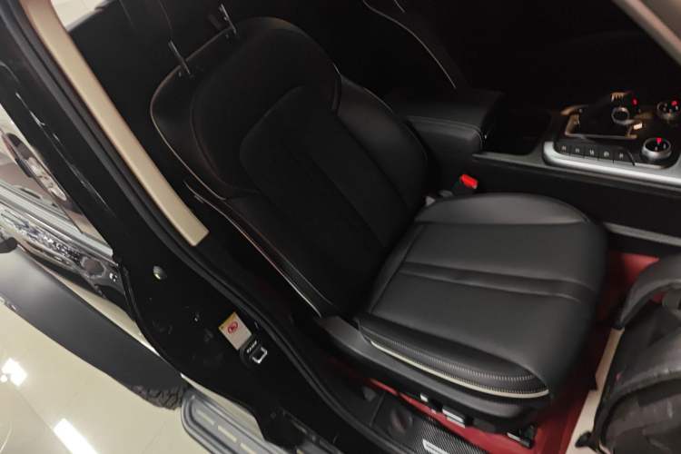 Used Tank 300 2023 2.0T Iron Rider 02