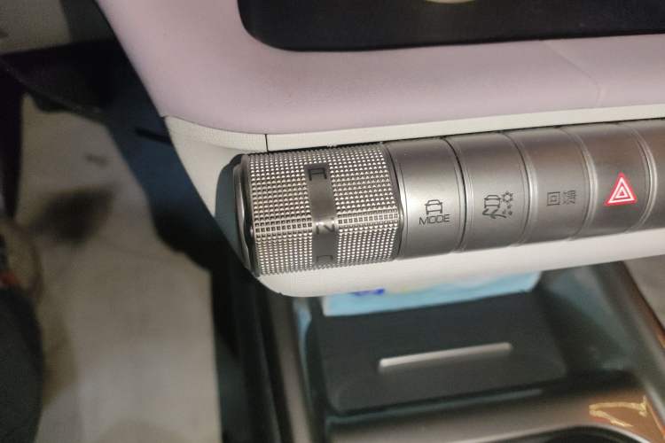 Used BYD Dolphin 2021 405 km Free Version Gear Lever