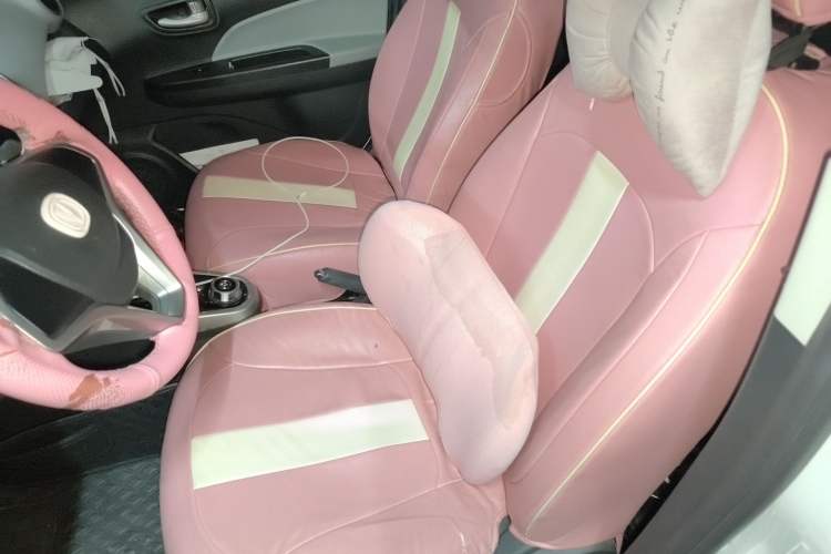 Used CHANGAN Benni E-Star 2021 National Edition Xin Yue Version (Fast-Charging Edition) Lithium Iron Phosphate (31.95 kWh) Left Front Seat