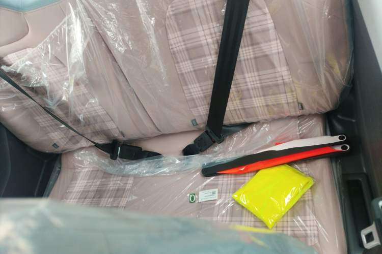 Used Chery New Energy QQ Ice Cream 2024 Edition Youth Version 205km Sundae