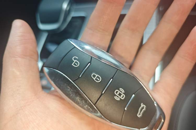 Used Hongqi HS7 PHEV 2024 2.0T PHEV Four-Wheel Drive Flagship Edition 7 Seats
