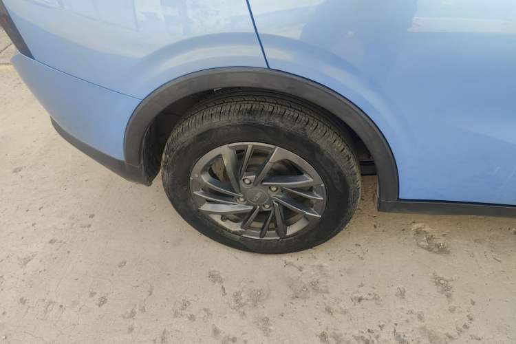 Used NETA V 2021 Standard Range Entertainment Edition
