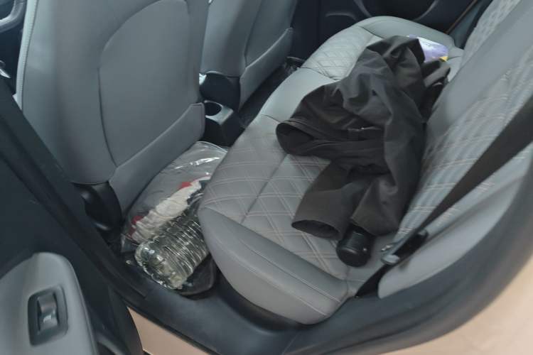 Used Leapmotor T03 2021 400 Luxury Edition Left Rear Seat