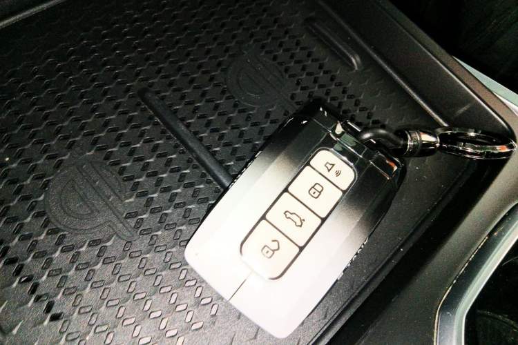 Used Tank 400 New Energy 2023 Hi4-T Super Edition