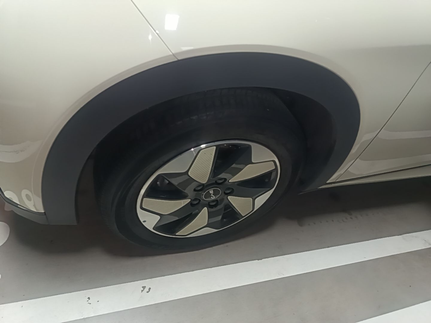 BYD Dolphin 2025 420km Free Edition — снимка 10
