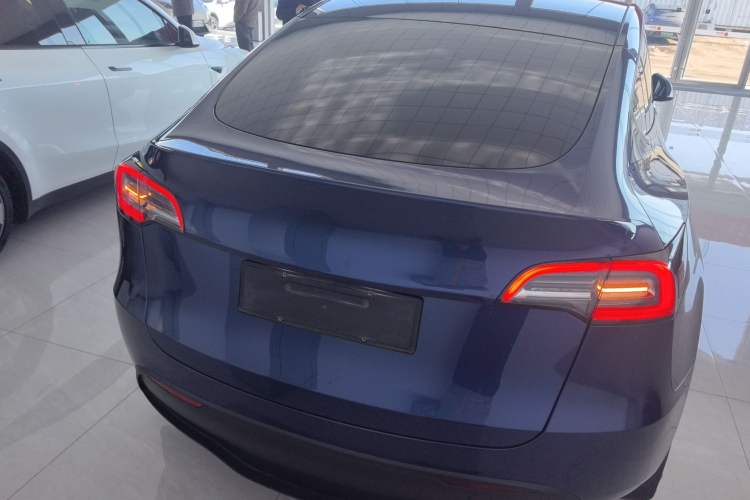 Used Tesla Model Y 2021 Standard Range Rear-Wheel Drive Version
