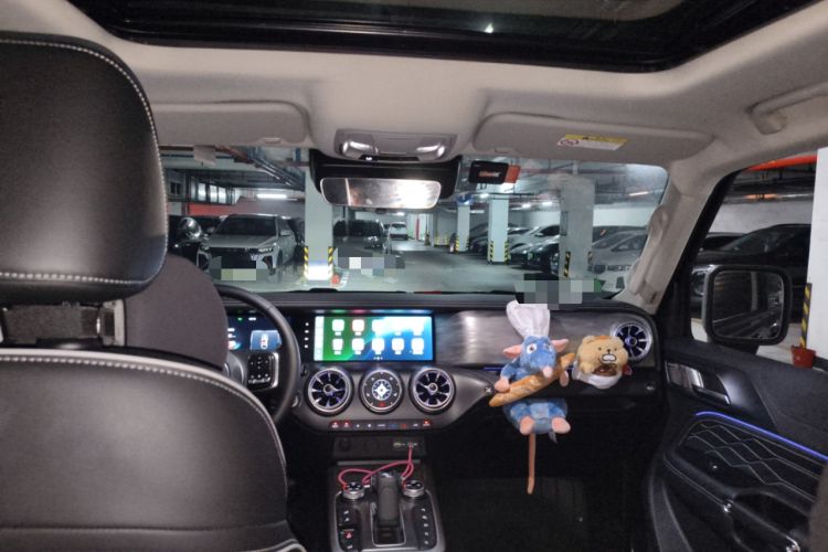 Used Tank 300 2024 2.0T Conqueror