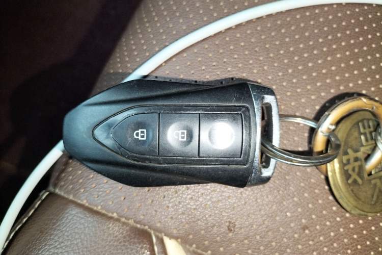 Used Leopaard CS10 2017 2.0T Automatic Luxury Model