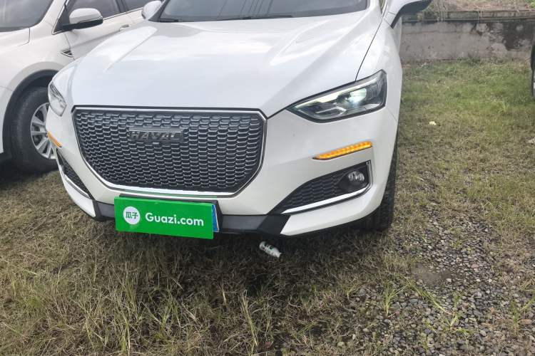 Used Haval F5 2019 National Trend Edition 1.5T i-Trend China VI Standard
