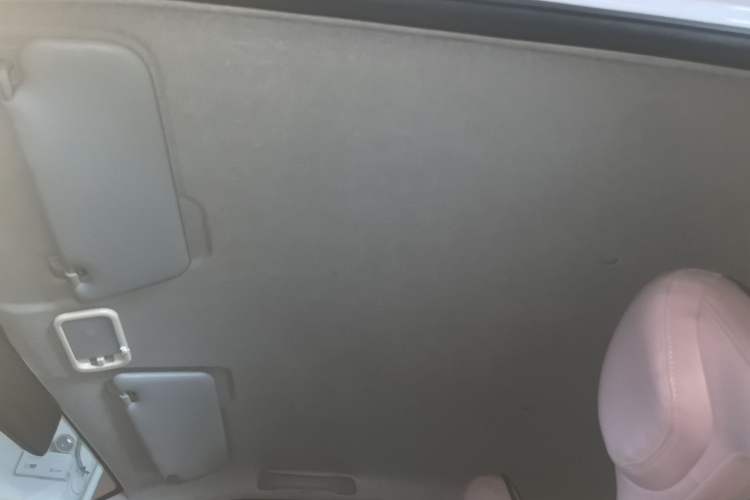 Used Wuling Hongguang MINIEV 2021 Macaron Fashion Edition Lithium-Ion Battery Headliner