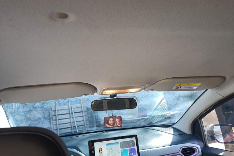 Used SOL E10X 2022 Flower Fairy Design Four-Leaf Clover Headliner