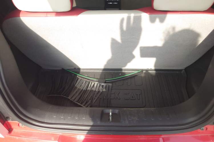 Used ORA Black Cat 2021 351 km Luxury Version Trunk