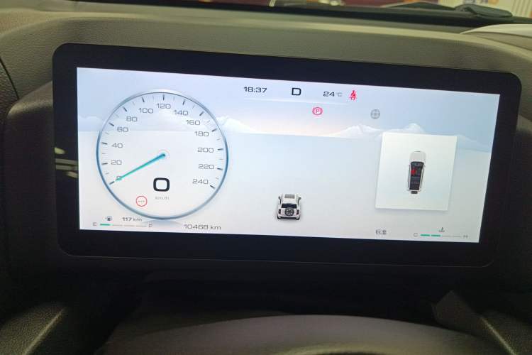 Used Haval H9 2024 2.0T Gasoline All-Wheel-Drive Extreme Edition
