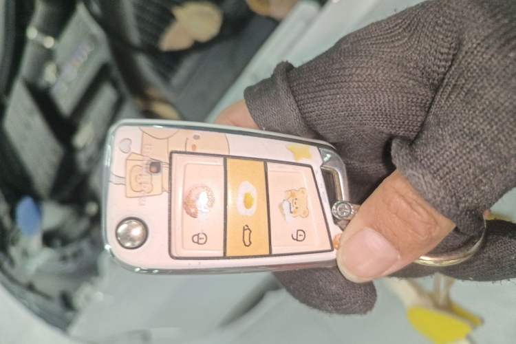 Used Volkswagen T-ROC 2023 300TSI DSG Two-Wheel-Drive Chen Guang Edition
