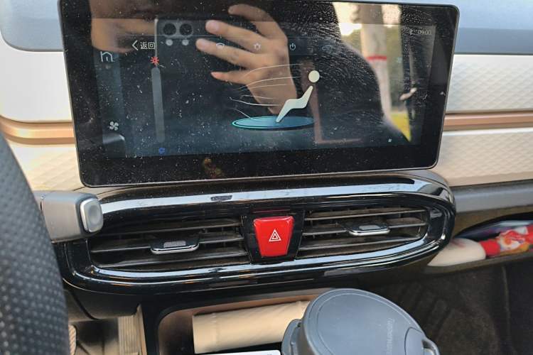 Used SOL E10X 2022 Flower Fairy Design Four-Leaf Clover