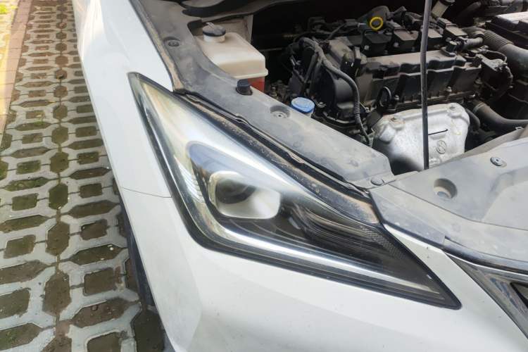 Used CHANGAN Eado 2019 1.6L GDI Manual Value Edition China VI Standard
