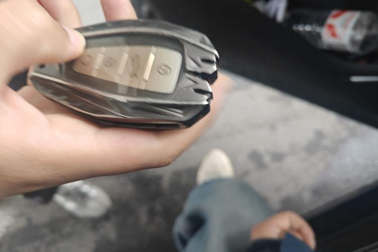 Used Geely Auto Monjaro L 2021 2.0TD DCT EVO Two-Wheel-Drive Flagship Version
