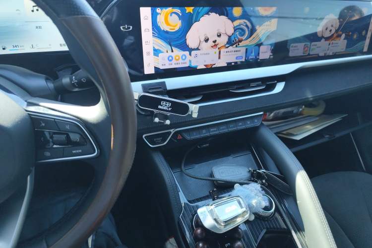 Used Geely Auto Monjaro L 2024 2.0TD High-Power Automatic Two-Wheel Drive Skyline Edition
