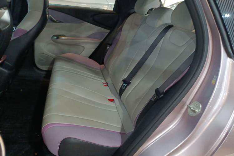Used BYD Dolphin 2021 405 km Fashion Edition Left Rear Seat