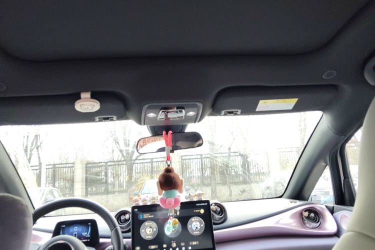 Used BYD Dolphin 2021 405 km Fashion Edition Headliner