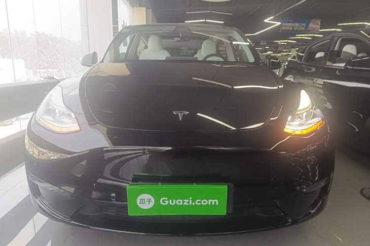 Used Tesla Model Y 2021 Standard Range Rear-Wheel Drive Version
