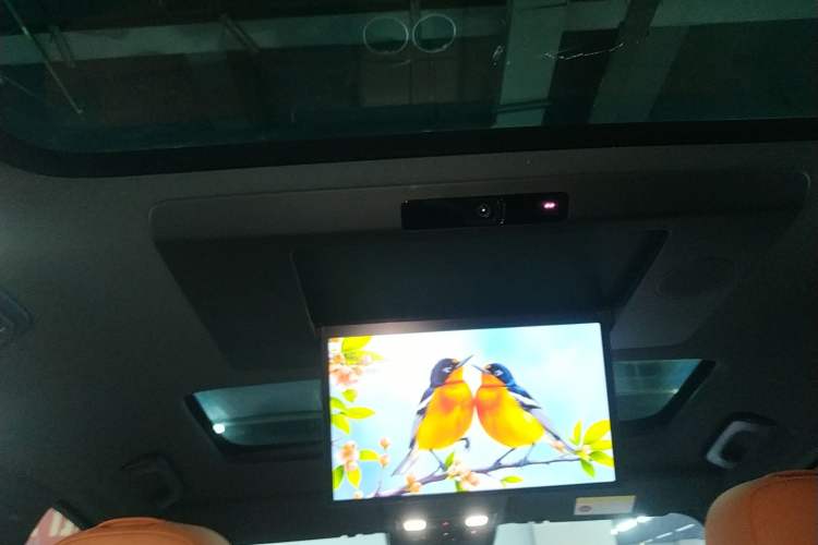 Used Li Auto L9 2024 Pro Model