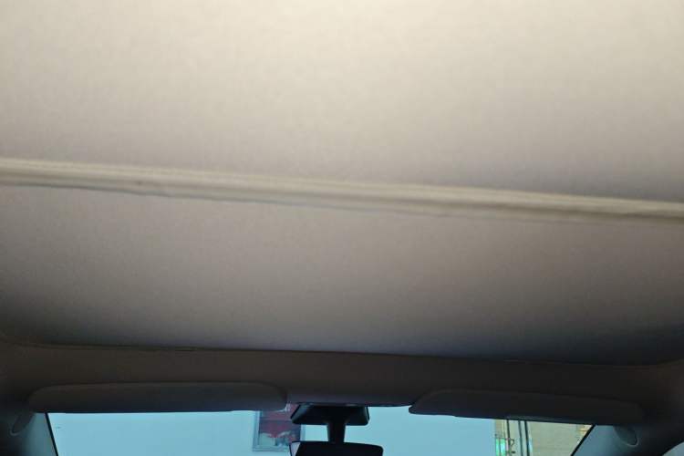 Used Tesla Model Y 2021 Standard Range Rear-Wheel Drive Version Headliner