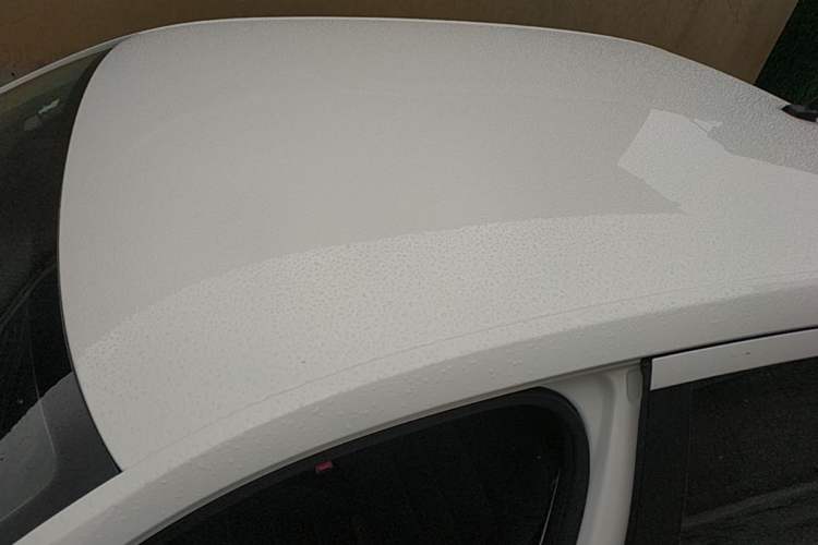 Used Volkswagen Lavida 2019 Lavida Start 1.5L Automatic Trendy Version China VI Standard Roof