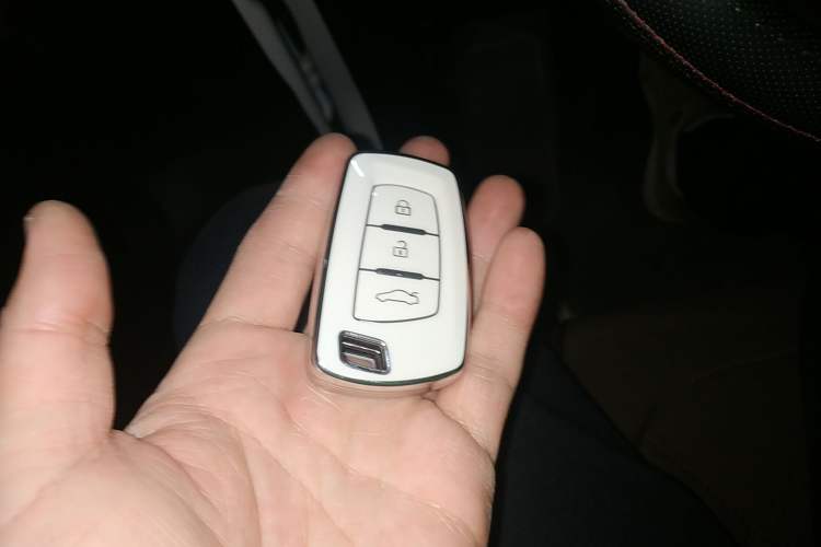 Used FORTHING T5 2020 1.5T Automatic Luxury Model China VI Standard
