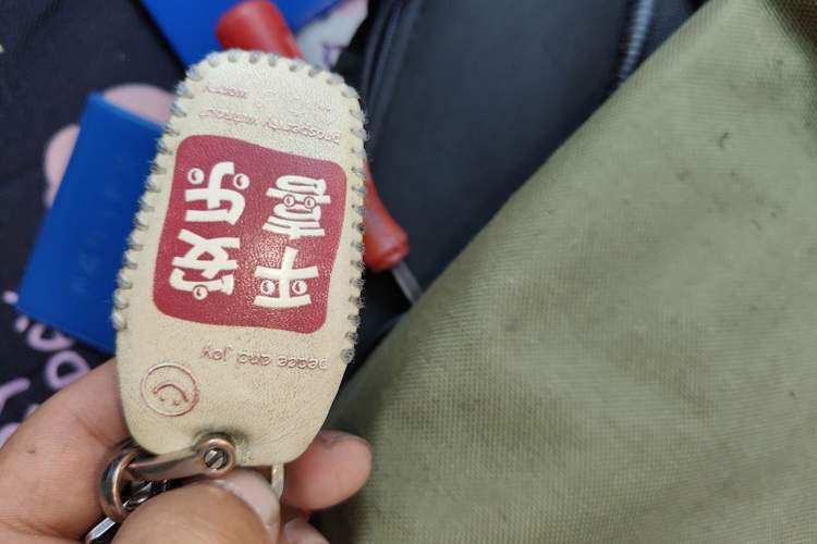 Used SOL E10X 2022 Flower Fairy Style Baby's Breath
