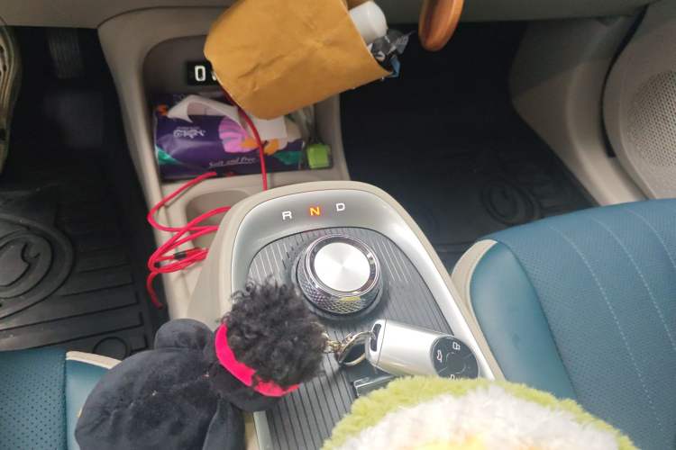 Used ORA Good Cat 2022 Morandi Edition 400km Standard Range Premium Version Lithium Iron Phosphate Gear Lever