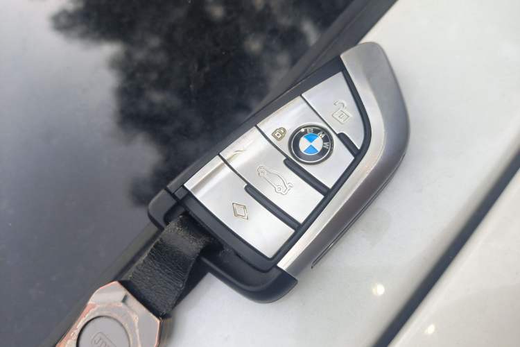 Used BMW 5 Series New Energy 2021 535Le Luxury Package