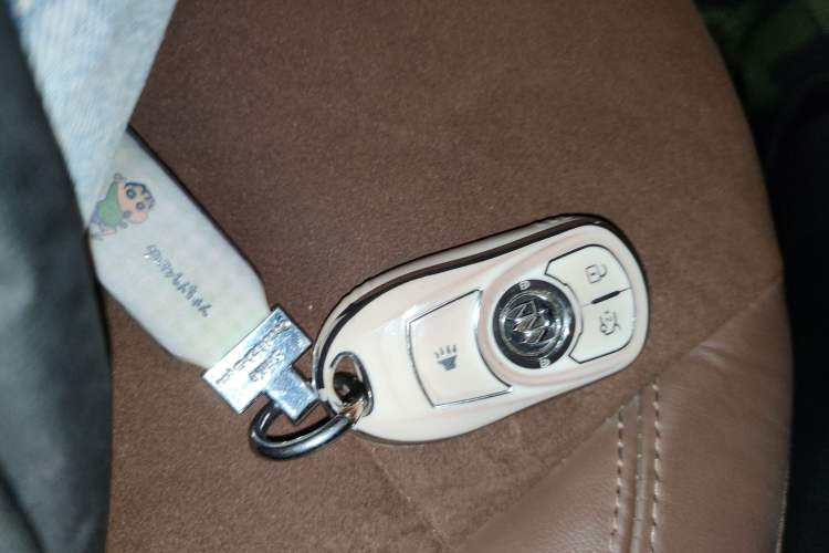 Used Buick Regal 2019 20T Elite Version China V Standard
