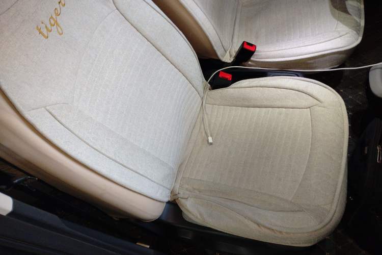 Used Leapmotor T03 2022 Hometown Jade Edition
