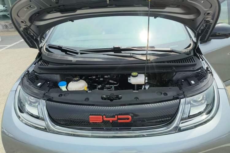Used BYD Dolphin 2023 420 km Free Version