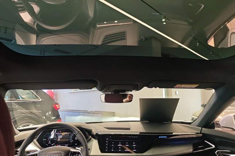 Used Audi e-tron GT 2023 Basic Model Headliner