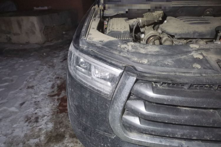 Used Great Wall Poer 2021 2.0T Global Version Automatic Diesel 4x4 Comfort Trim Standard Box GW4D20M