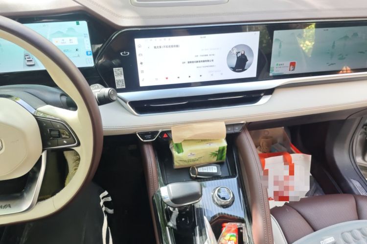 Used Geely Auto Monjaro L 2021 2.0TD High-Power Automatic All-Wheel Drive Luxury Version
