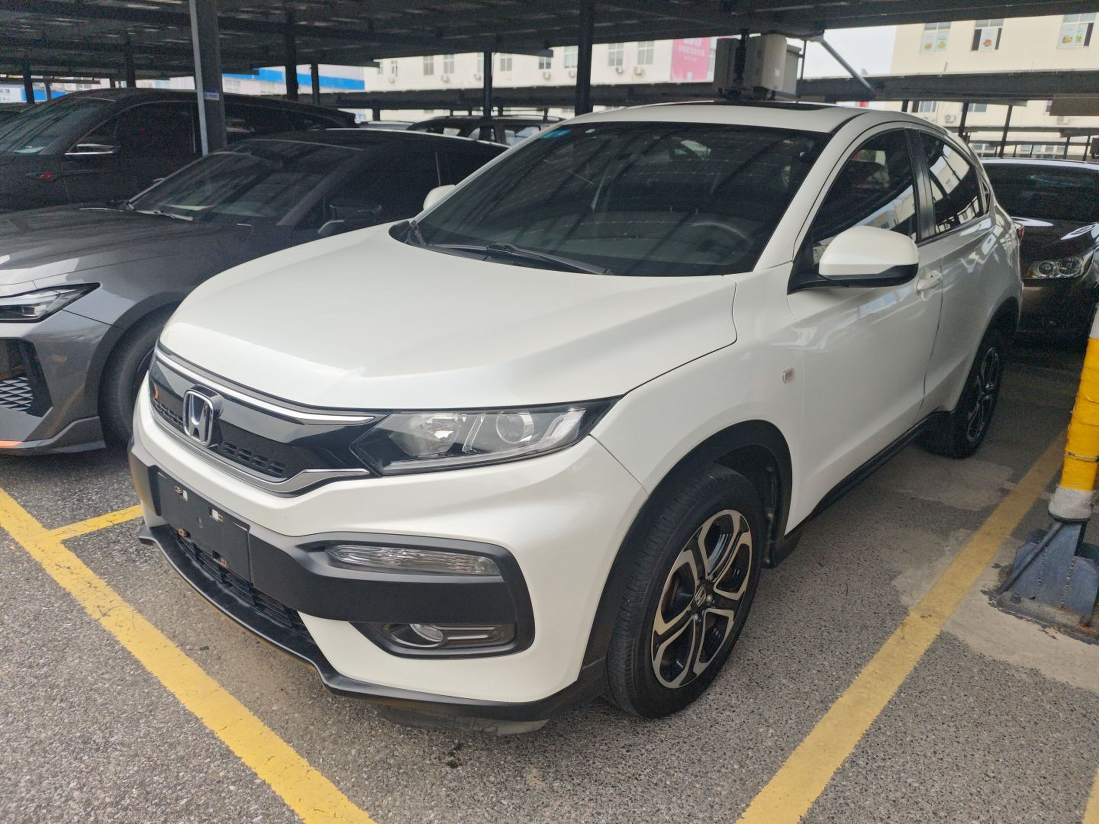 Parte inferior delantera