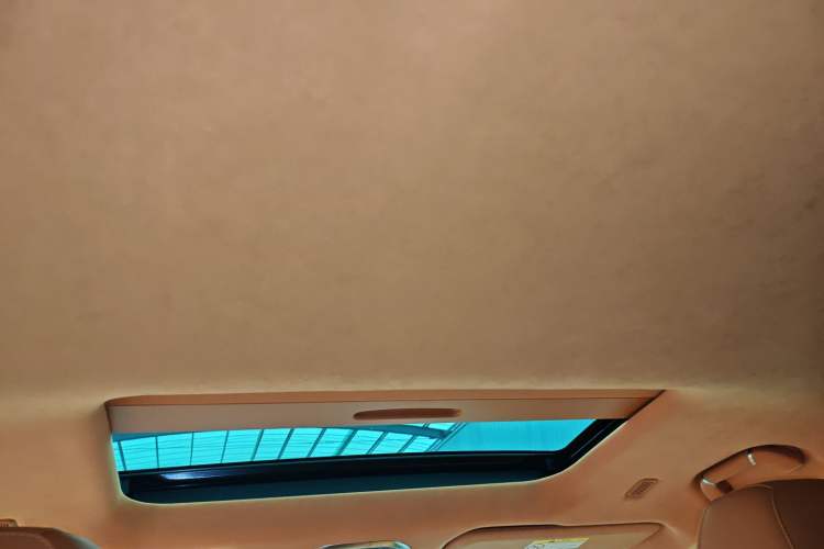 Used Wey Gaoshan 2023 Four-Wheel Drive Flagship Edition Headliner