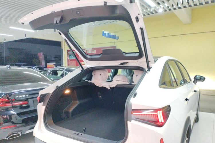 Used Livan Livan 7 2024 605 km Glory Edition