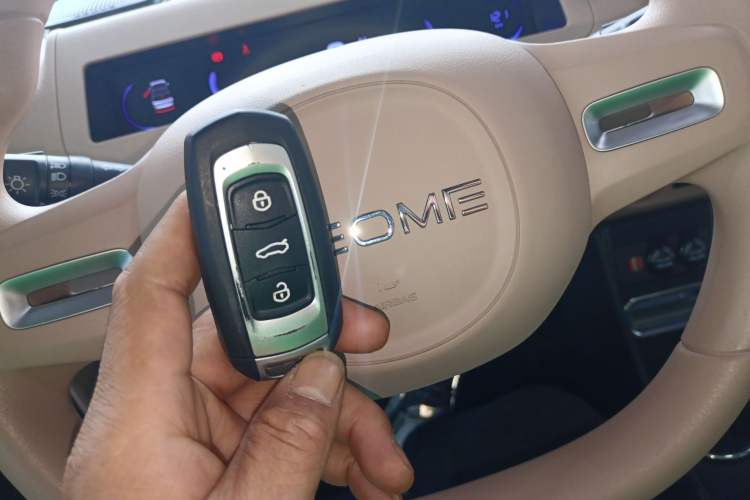 Used Geely Galaxy Panda 2023 Panda Mini 200km Endurance Bear