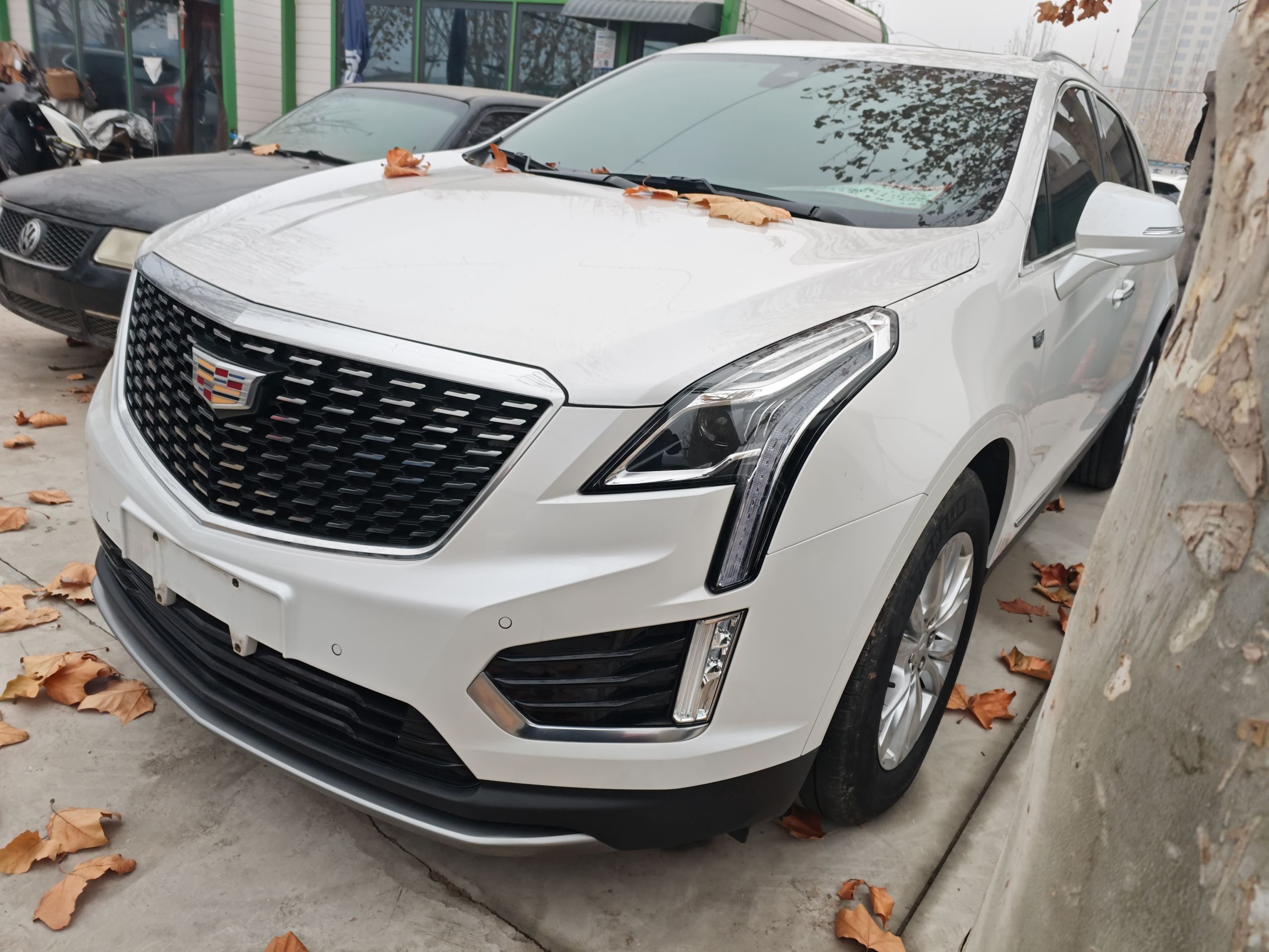 Under Front Bumper