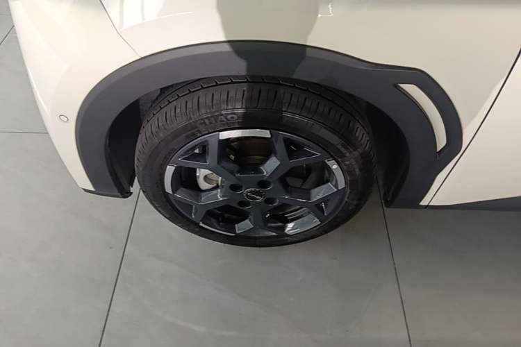 Used BYD Seagull 2025 Smart Drive Version 305 km Freedom Edition